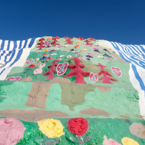 Dolly The Llama - Salvation Mountain